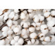 HIREMO WAX MELT  COTTON